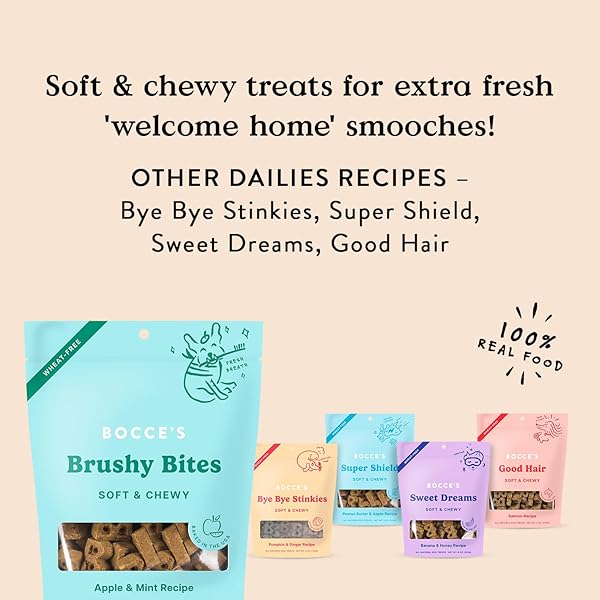 BOCCE’S BAKERY DAILIES BRUSHY BITES DOG TREATS FOR WELLNESS SUPPORT, WHEAT-FREE DOG TREATS, MADE WITH REAL INGREDIENTS, BAKED IN THE USA, ALL-NATURAL SOFT & CHEWY, APPLE & MINT RECIPE, 6 OZ
