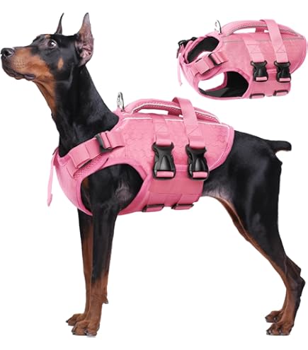 Amazon.com : Outward Hound Granby Splash Pink Dog Life Jacket