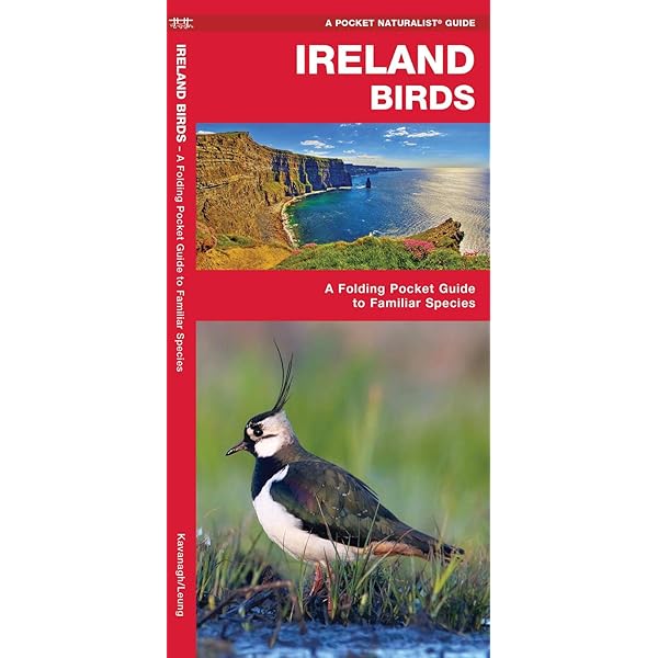 【中古】 Ireland’s Birds: Myths, Legends and Folklore/COLLINS PR/Niall Mac Coitir Ireland's Trees: Myths, Legends and Folklore - Niall Mac Coitir