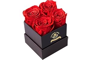 NIETIY Flower,Rose,Forever Flowers Roses,Preserved Flowers,Forever Flowers in A Box,Roses Fresh Flowers,Mothers Day Flowers,Flowers Fresh Bouquet Mothers Day,Roses Birthday Gift for Her/Men/Mom,Red