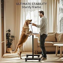YSSOA Mobile Small Standing Desk - Rolling Desk