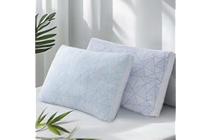 Sylvaris Shredded Memory Foam Cooling Soft Bamboo Viscose Pillows Queen Size Set of 2, Adjustable Hypoallergenic Hotel Quality Bed Pillows for Side, Stomach or Back Sleeper, Oeko-TEX Certified
