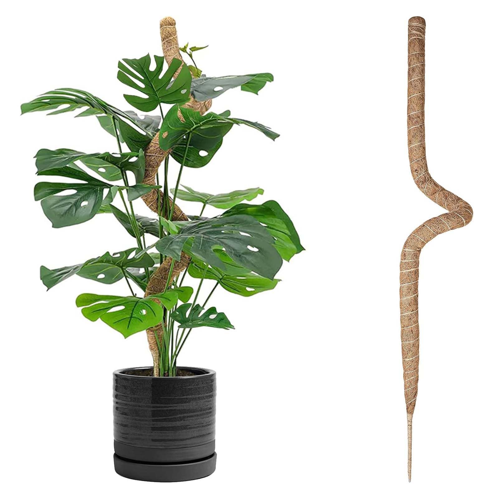 TsLolly Moss Pole,160cm Moss Pole for Monstera,Plant Supports for Indoor Plants Climbing Pole Potted Bendable DIY Shape,Cheese Plant Support Moss Poles for Plants