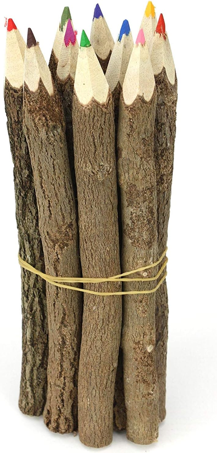 WIndhorse Thai Tree Branch Twig Pencil Bundle Large Size Mixed Colours Multipack of 3