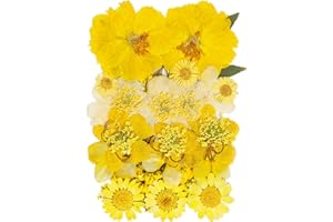 Natural Dried Flowers Mixed Multi-Color Pressed Flower Mini Rose Hydrangea Daisy for Art Craft DIY Resin Nail Art Floral Deco