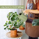 GUKJOB Watering Can Indoor Plants 35oz Stainless Steel Long Spout Sage view 2