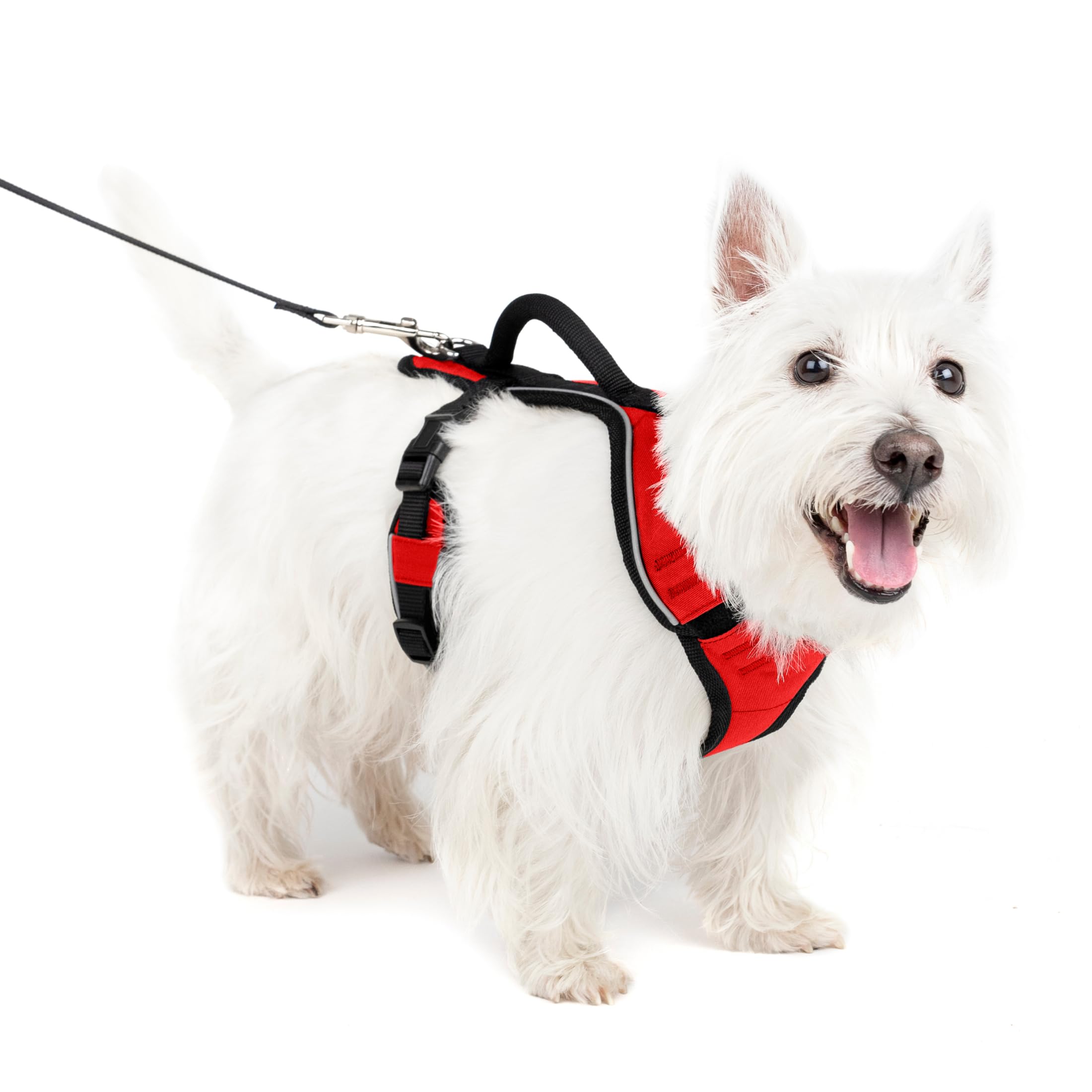 PetSafe EasySport Harness, Walking Harness for Dogs, Adjustable, Padded, Small-Red