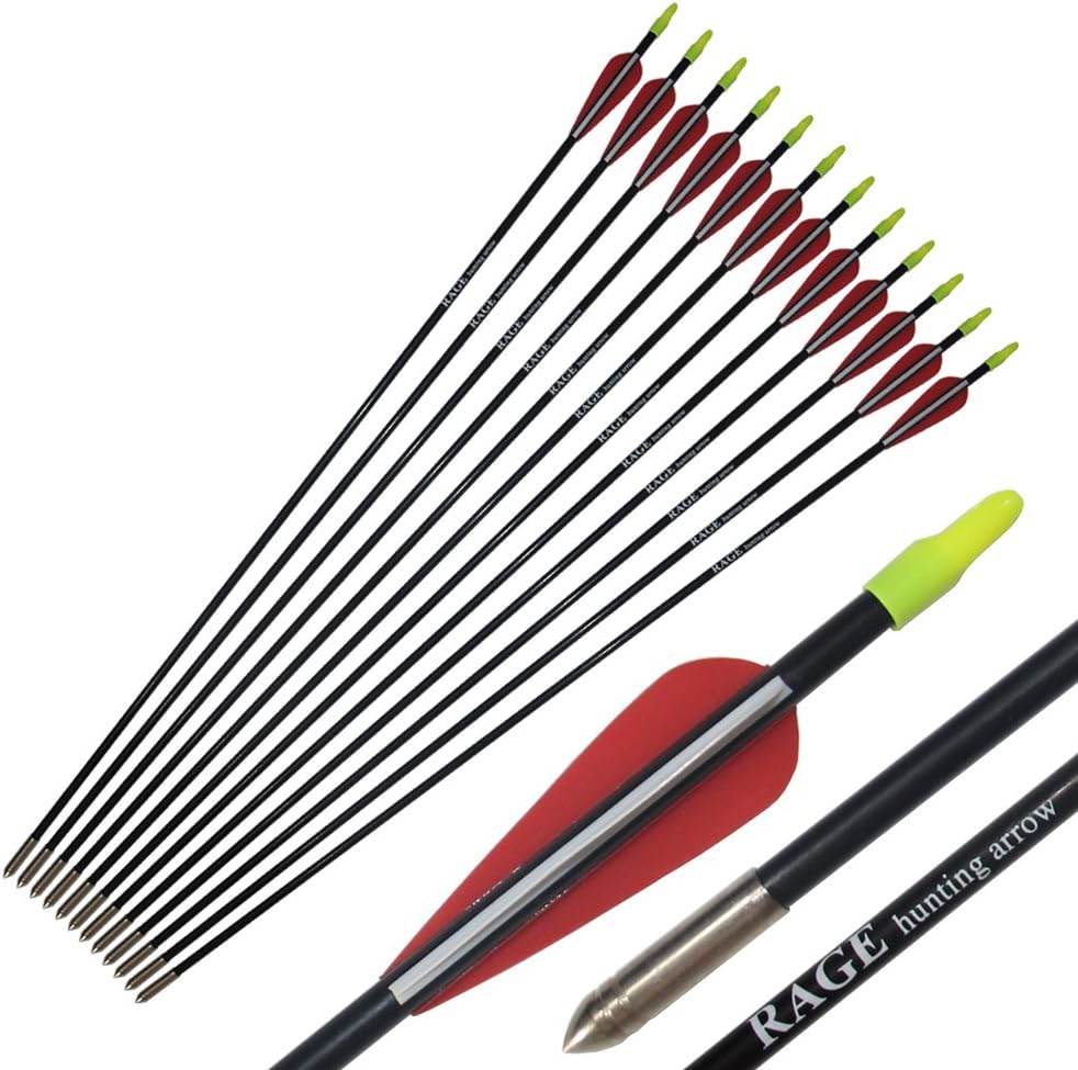 PA 25" 31" Fiberglass Arrows Children Arrows Archery Target Shooting Hunting Practice Arrows for Recurve Bow : Sports & Outdoors