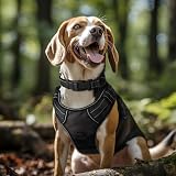 Joytale Reflective Dog Collar Nylon Padded Neoprene Large Black view 2