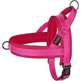 Didog No Pull Dog Harness with Soft Mesh Padded,Reflective & Quick Fit Light Weight Dog Strap Vest Harness,Easy for Walking Training (XS:Chest 15-18", Mesh-Hot Pink)