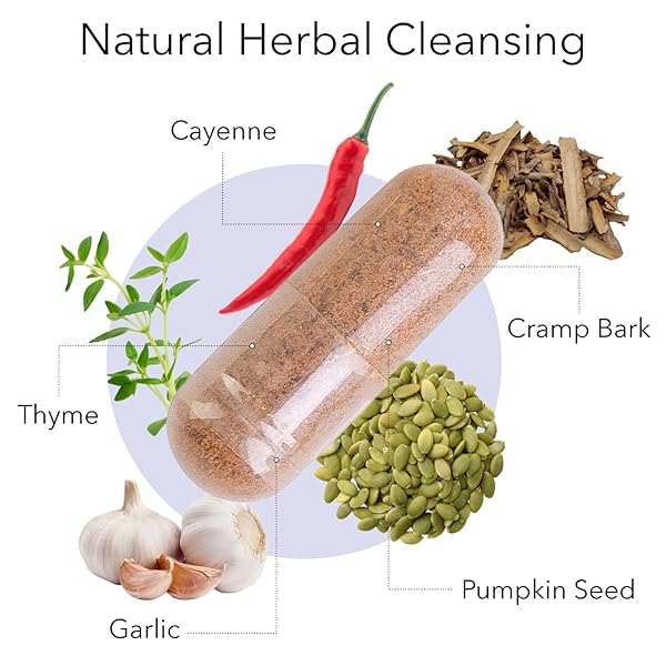KROEGER HERB PRODUCTS, RASCAL, BALANCED GUT & HEART HEALTH WITH HERBS LIKE GARLIC, CAYENNE, PUMPKIN SEEDS, VEGETARIAN, NON-GMO, GLUTEN FREE, NO PRESERVATIVES, HEALTHY MICROBIAL BALANCE, MADE IN USA