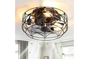 Brushed Nickel Caged Ceiling Fans with Lights and Remote, 6 Speeds,12 inch Industrial Flush Mount Ceiling Fan with Light, Mod