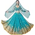 ELLYDOOR Princess Jasmine Costumes for Women Adult Aladdin Dress UP Halloween Cosplay Belly Dance Outfit