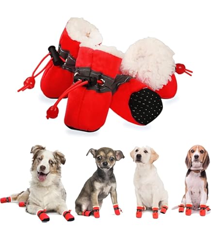 Amazon Outdoor Dog Booties Dog Crocs For Large Dogs For Large Dog