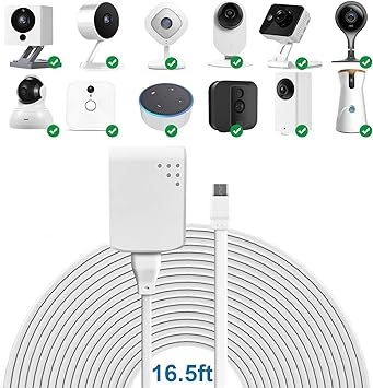 is echo compatible with nest