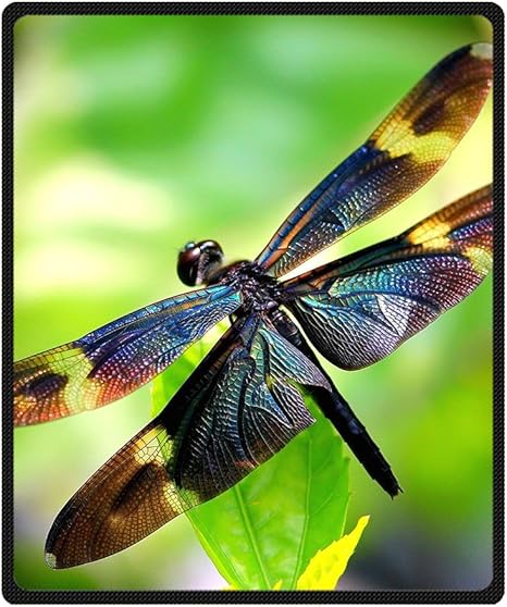 Amazon Com Fleece Blanket Dragonfly Custom Blanket Super Soft Fleece Throw Blanket For Sofa Or Bed 58x80 Inch Large Home Kitchen