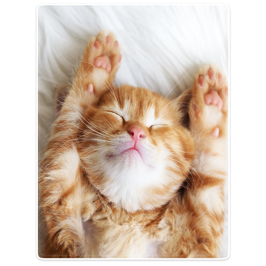 YISUMEI Blanket 100 x 150 cm Soft Flannel Fleece Blanket Bed Blanket Kitten Cat Sleeping Yellow