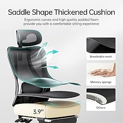 Hbada P3 Ergonnomic Office Chair with 2D Adjustable