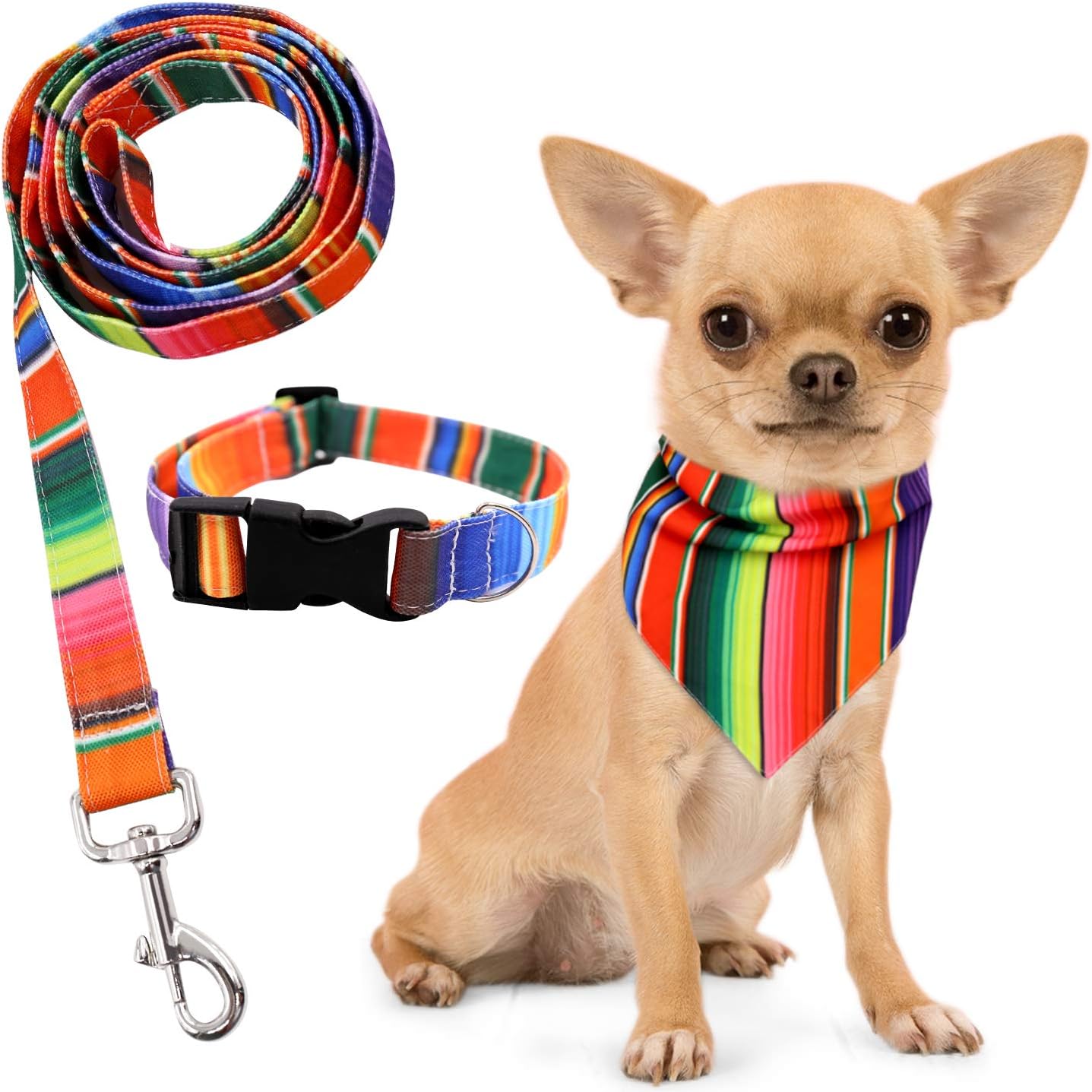 mexican dog collar
