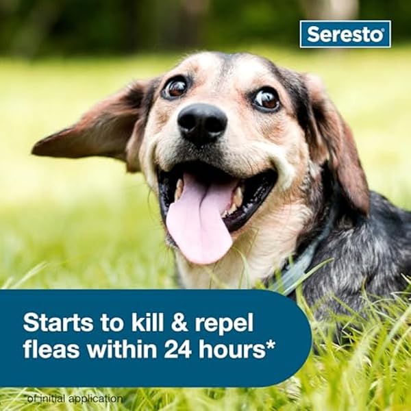 SERESTO SMALL DOG VET-RECOMMENDED FLEA & TICK TREATMENT & PREVENTION COLLAR FOR DOGS UNDER 18 LBS. | 8 MONTHS PROTECTION