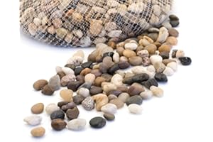 Royal Imports 5LBS River Rocks Decorative Ornamental Pebbles, Garden Landscaping Stones, Gravel Filler for Plants, Vases, Succulents, Home Decor, Aquariums, Crafting, Animal Habitat - Small Natural