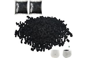 Xcivi Odor Absorbing Filter Refills for Lomi Smart Waste Kitchen Composter Top and Back Filters, Replacement Activated Charcoal Filters Compatible with Lomi Electric Countertop Compost Bin(2 Pack)