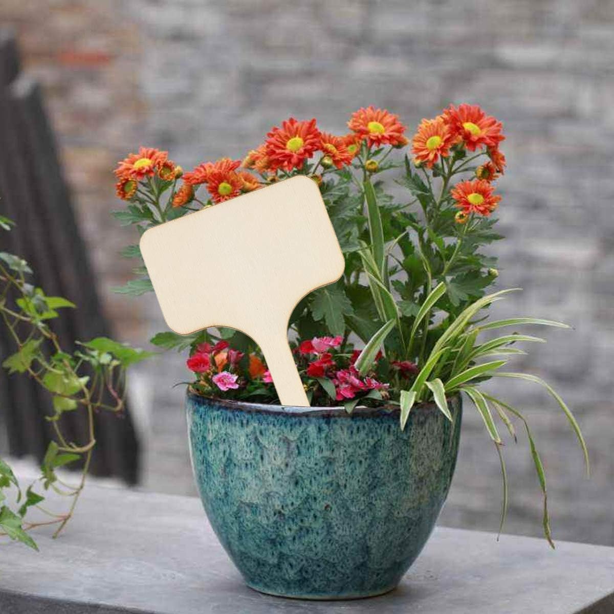 SUPVOX 50pcs Etiquetas de plantas Etiquetas de plantas Etiquetas ...