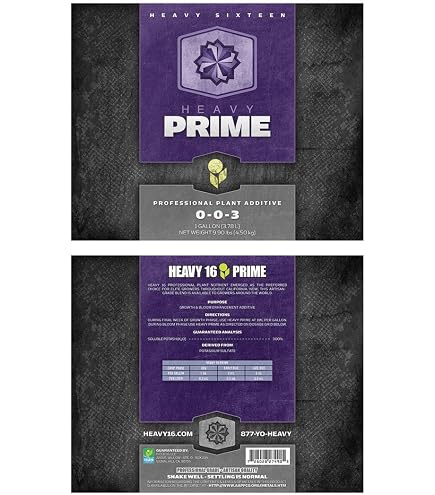 HEAVY 16 Prime - Image 4