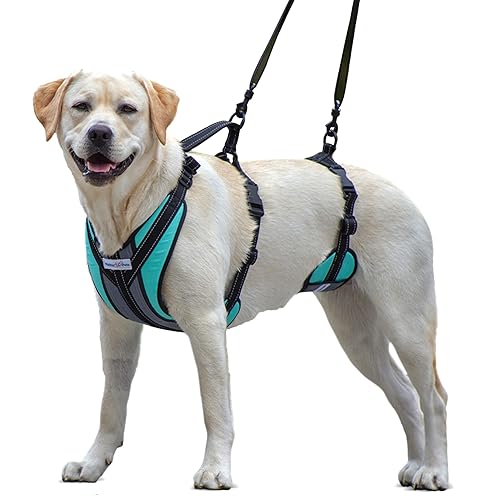 Lift-n-Step Dog Harness for Full Body Support Helps Dogs with