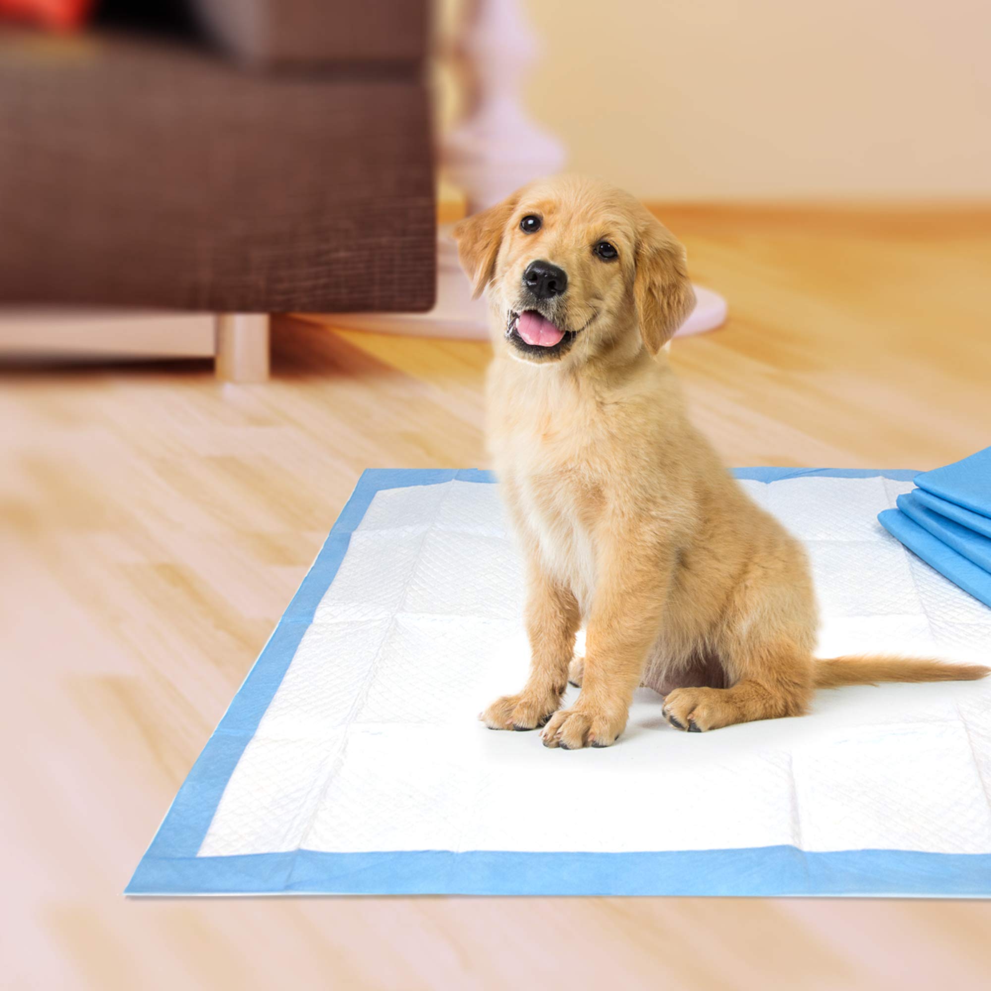 Wee Wee Puppy Pee Pads for Dogs
