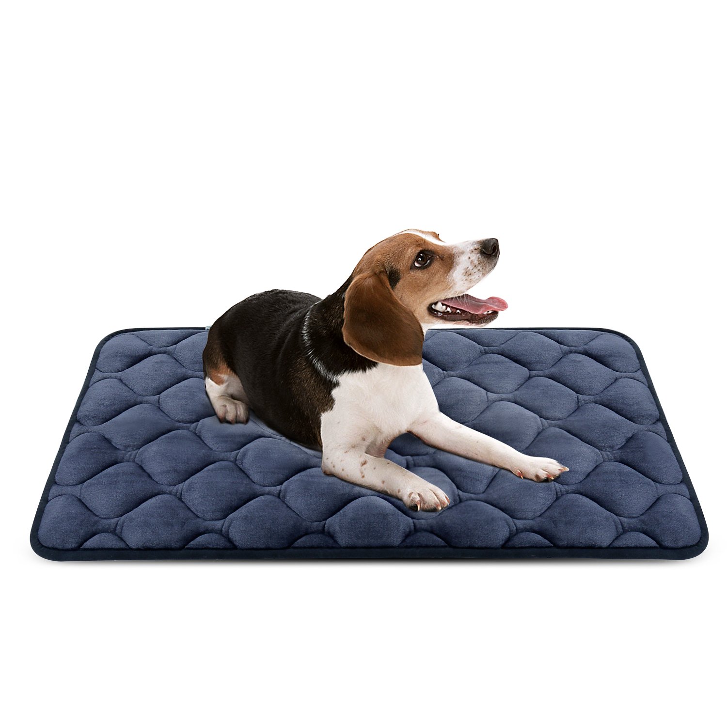 duramat dog bed