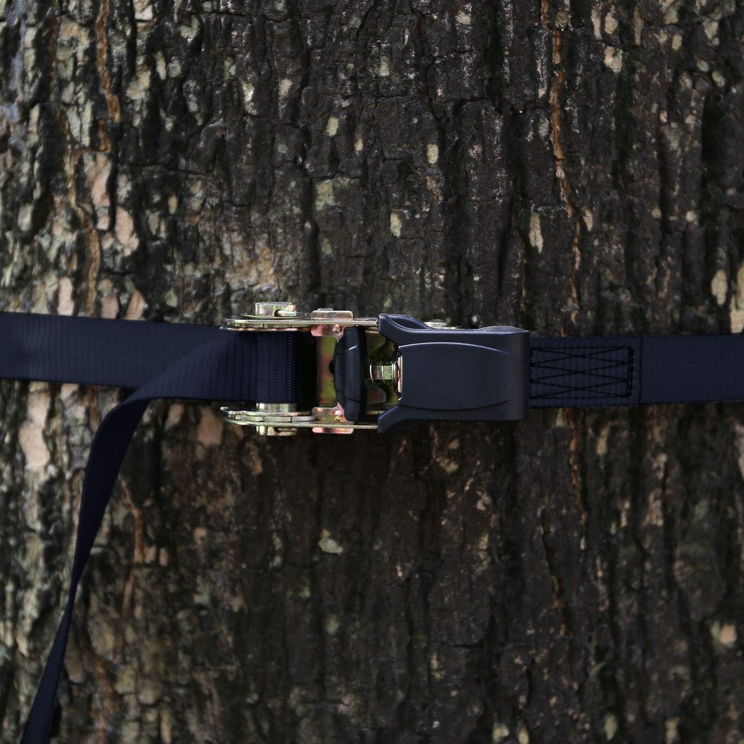 Odoland Ninja Tree Climbers, 12 Kids Rock Climbing Holds with 6 Sturdy Ratchets Straps for Outdoor Ninja Warrior Obstacle Course Training for Child and Adult: Sports & Outdoors