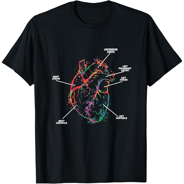 Amazon.com: Parts Of Heart Cardiology Men Women Anatomical