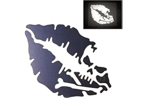 customTAYLOR33 High Intensity Reflective Vinyl Death Kiss Skull Crossbones Lips Decal Bumper Sticker - Cars, Motorcycles, Helmets, Wind Screens, laptops, cellphones, (Black, 6 inch Wide)