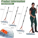 Walensee 15-Inch Thatch Rake with Adjustable Handle, Heavy Duty Steel view 2