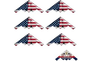 Spirit of ’76 B-2 Stealth Bomber Challenge Coin – USA 250th Anniversary Patriotic Collectible, 1776-2026 Military Coin with Liberty Bell & Flag for Veterans & Aviation Enthusiasts (6PCS)