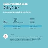 Halti Training Lead double ended no-pull small 2m burnt orange view 5