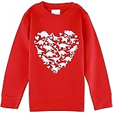 HH Family Boys Valentines Day Sweatshirt for Boy Dinosaur, Heart, Video Game Pullover Shirt for Kids Clothing