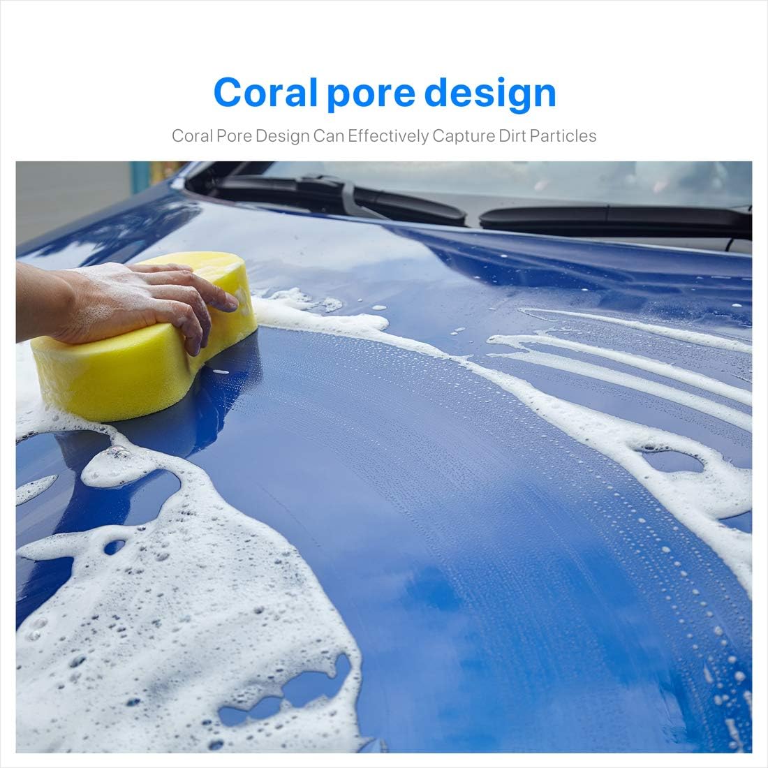 Car Wash Sponges , Multi-Use Cleaning Sponges，Easy Grip Sponge, Large sponges for Washing Cars, Bone Design Cleaning Polishing Foam for Dishes Washing, Vehicle, Bathroom and Kitchen Cleaning, 6Pcs: Kitchen & Dining