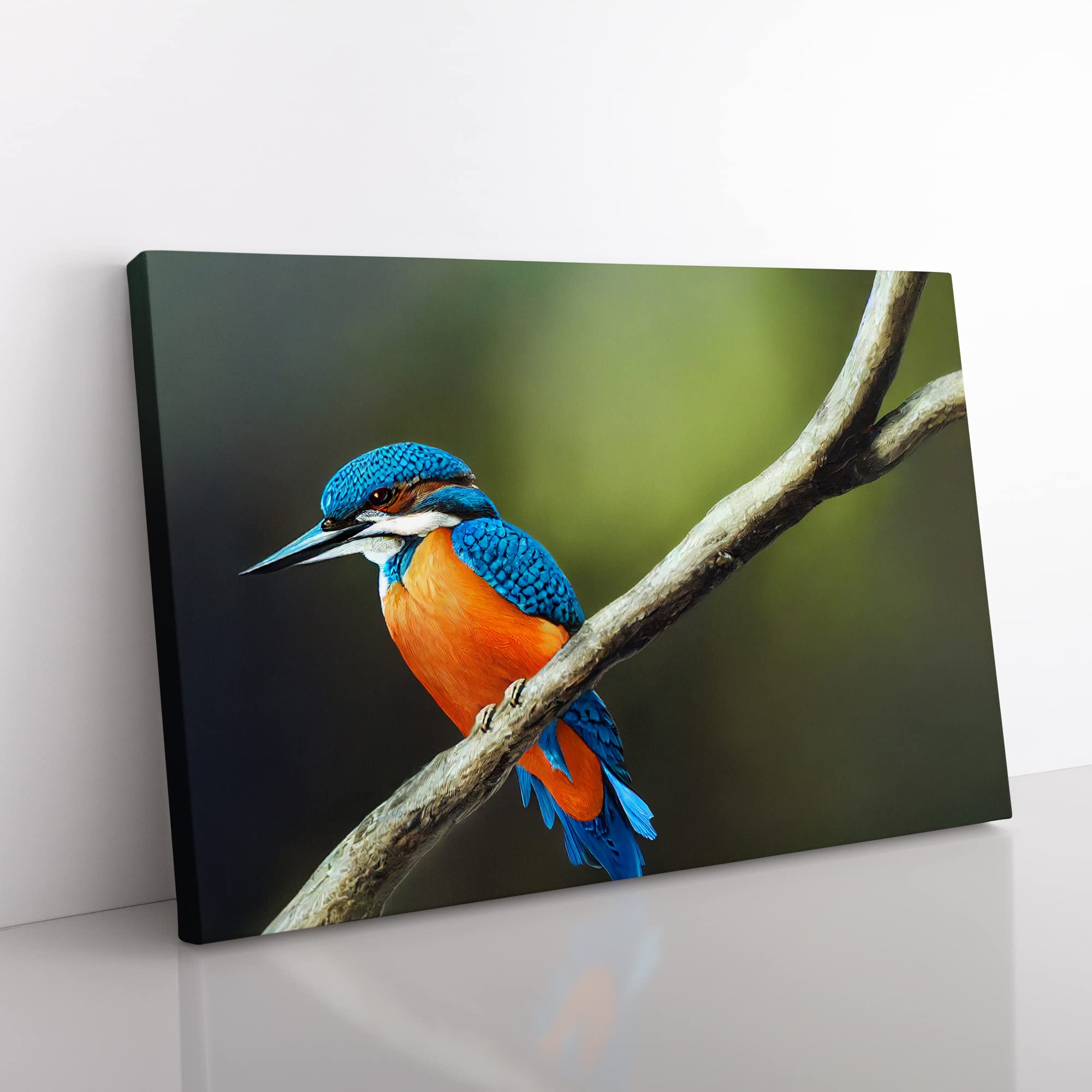 Unreal Kingfisher Bird Canvas Wall Art Print Ready to Hang, Framed Picture for Living Room Bedroom Home Office Décor, 50x35 cm (20x14 Inch)