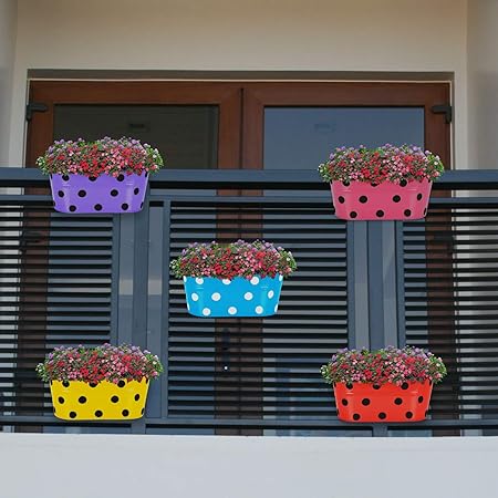 Decorations Cart Dotted Oval Shape Galvanized Metal Flower Pot for Hanging in Balcony Plants Garden Decor (Pack of 3) Multicolor