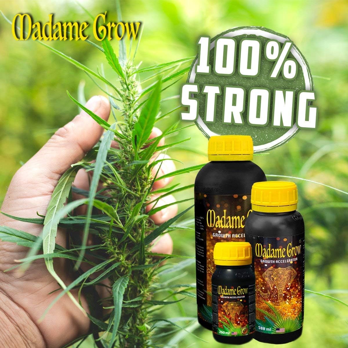 Madame Grow / Abono o fertilizante orgánico para Marihuana o ...