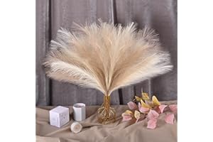 U-LIAN Faux Pampas Grass Beige and Taupe Brown 24 Inch 12PCS, Small Artificial Pompas Grass Decor for Vase, Fake Fluffy Pampas Floral, Artificial Dried Flowers, Dry Plant Home Wedding Boho Decor