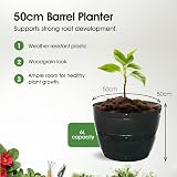Whitefurze G0850BL 50cm Barrel Planter Black 50 cm Diameter & Height view 2