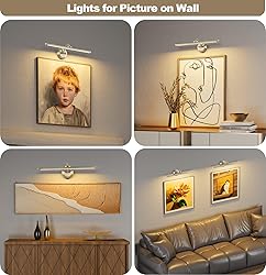 Tassuowell Hardwired Picture Light,24 Inch Dimmable