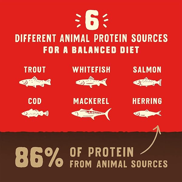 STELLA & CHEWY’S WILD RED DRY DOG FOOD RAW COATED HIGH PROTEIN GRAIN & LEGUME FREE OCEAN RECIPE, 3.5 LB. BAG