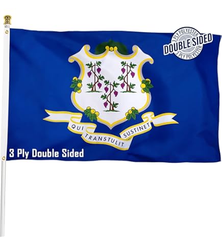 花瓶・フラワースタンド Ct flag DIGS \" JAW \" BITE Flag design commission killed in Senate State Affairs | SDPB