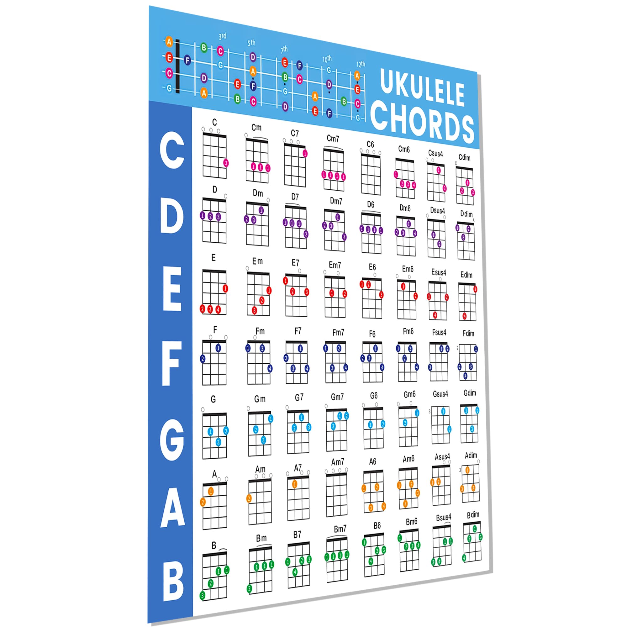 Chords Poster Ukulele Chords Guitar, Piano with Circle of the Scenes Chart for Beginners Teachers Learning and Composition (8 x 10 inches)