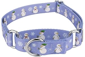 COUNTRY BROOK DESIGN Country Brook Petz - Snowman Martingale Dog Collar - Christmas Collection Featuring Festive Designs (1 Inch, Medium)