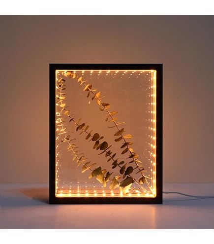 Amazon.com - Olszewski Gallery of Light Disney Gallery of Light by